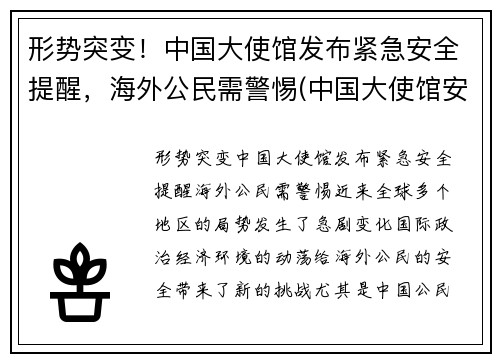 形势突变！中国大使馆发布紧急安全提醒，海外公民需警惕(中国大使馆安全吗)