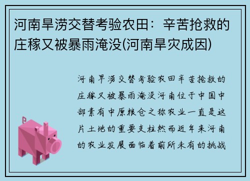 河南旱涝交替考验农田：辛苦抢救的庄稼又被暴雨淹没(河南旱灾成因)